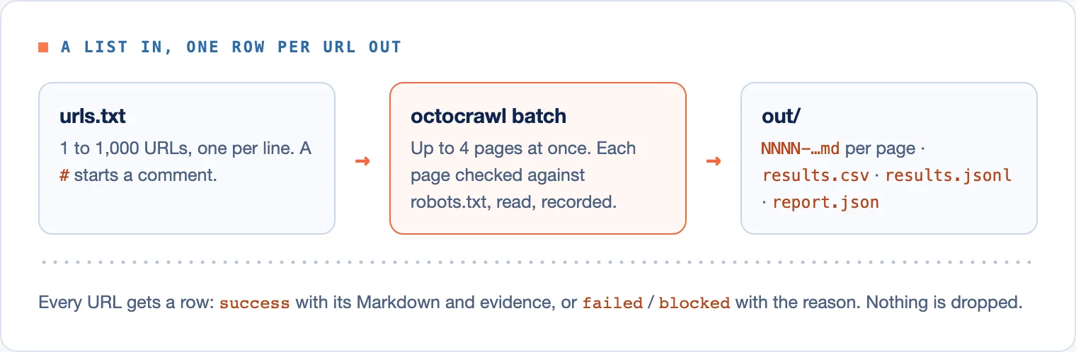 A list in, one row per URL out: urls.txt goes into octocrawl batch, which writes a Markdown file per page plus results.csv, results.jsonl and report.json